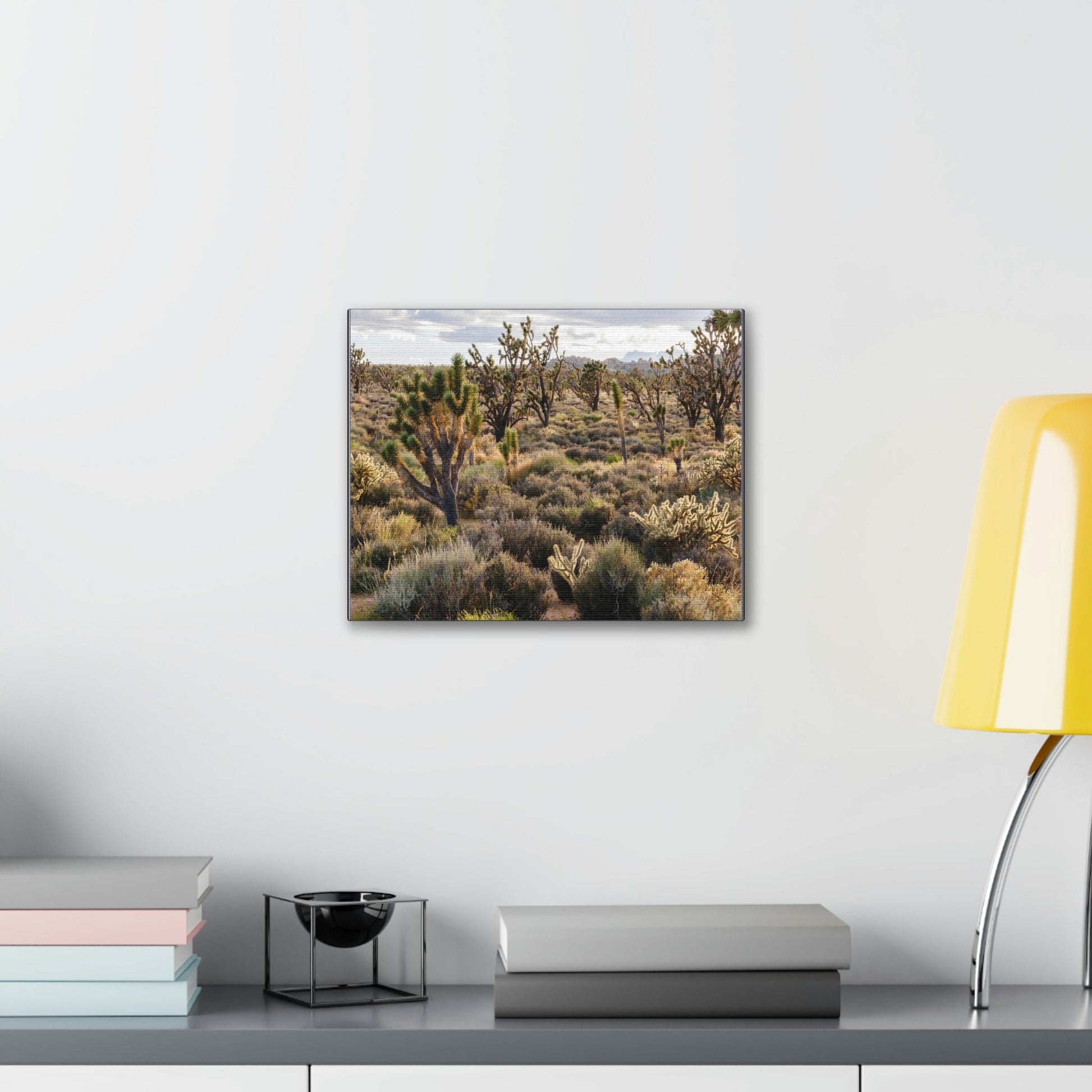 US STATE PARKS - SMALL Canvas Gallery Wraps - High desert landscape in Anza Borrego Desert State Park - California - be sure to BRING WATER! - Green Forest Home