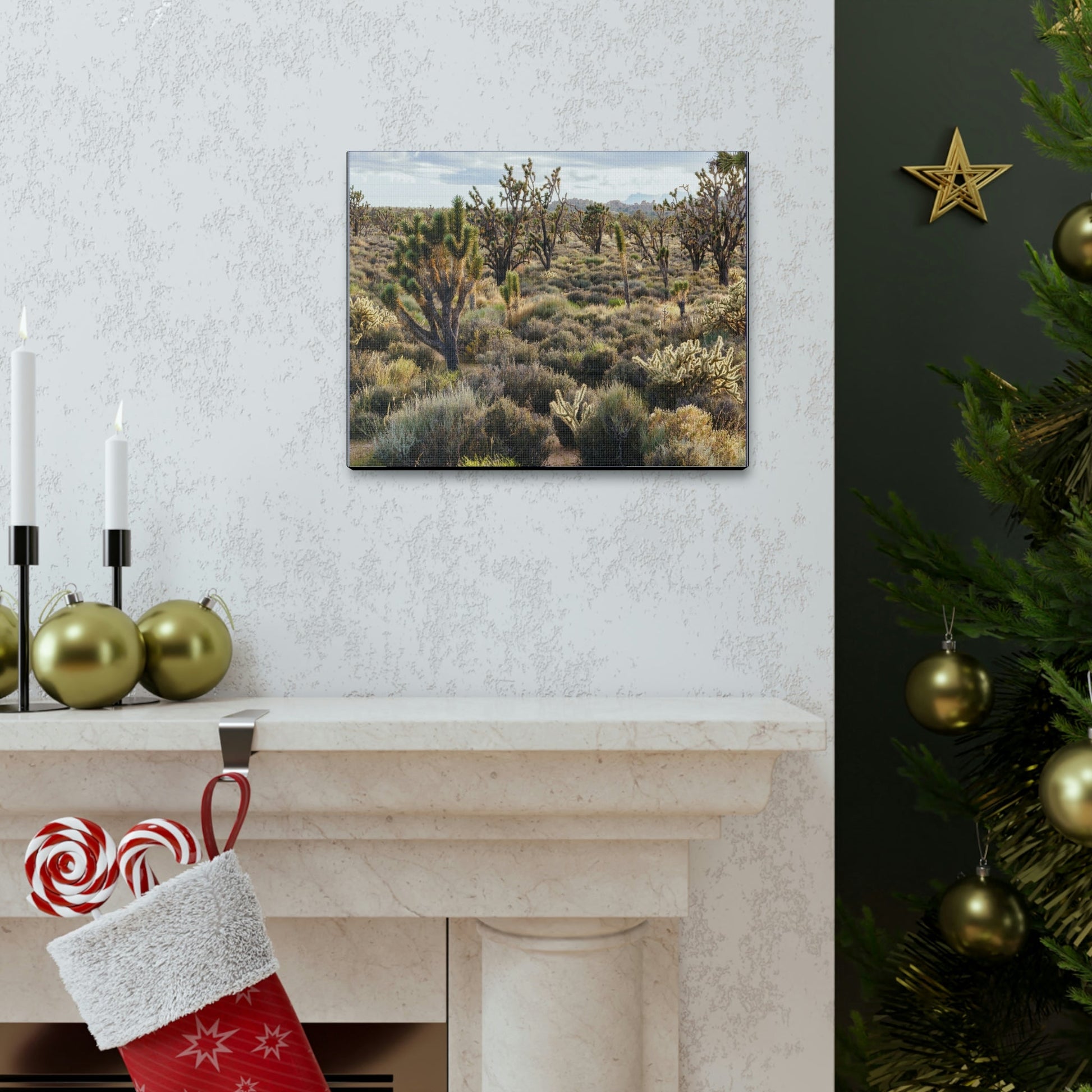 US STATE PARKS - SMALL Canvas Gallery Wraps - High desert landscape in Anza Borrego Desert State Park - California - be sure to BRING WATER! - Green Forest Home