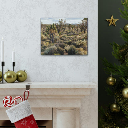 US STATE PARKS - SMALL Canvas Gallery Wraps - High desert landscape in Anza Borrego Desert State Park - California - be sure to BRING WATER! - Green Forest Home