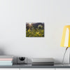 US STATE PARKS - SMALL Canvas Gallery Wraps - Sunset landscape in Anza Borrego Desert State Park during a spring super bloom, California - Green Forest Home