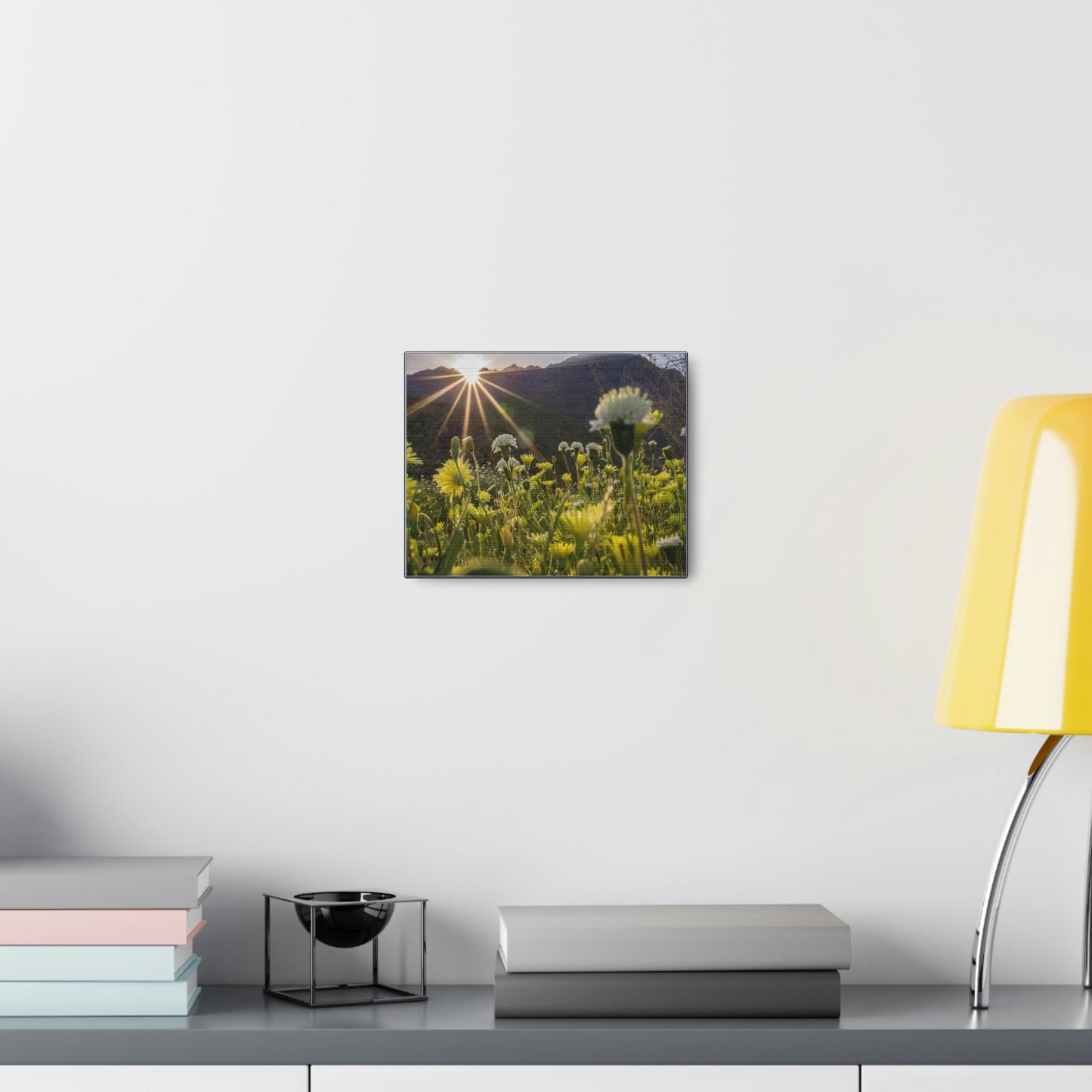 US STATE PARKS - SMALL Canvas Gallery Wraps - Sunset landscape in Anza Borrego Desert State Park during a spring super bloom, California - Green Forest Home