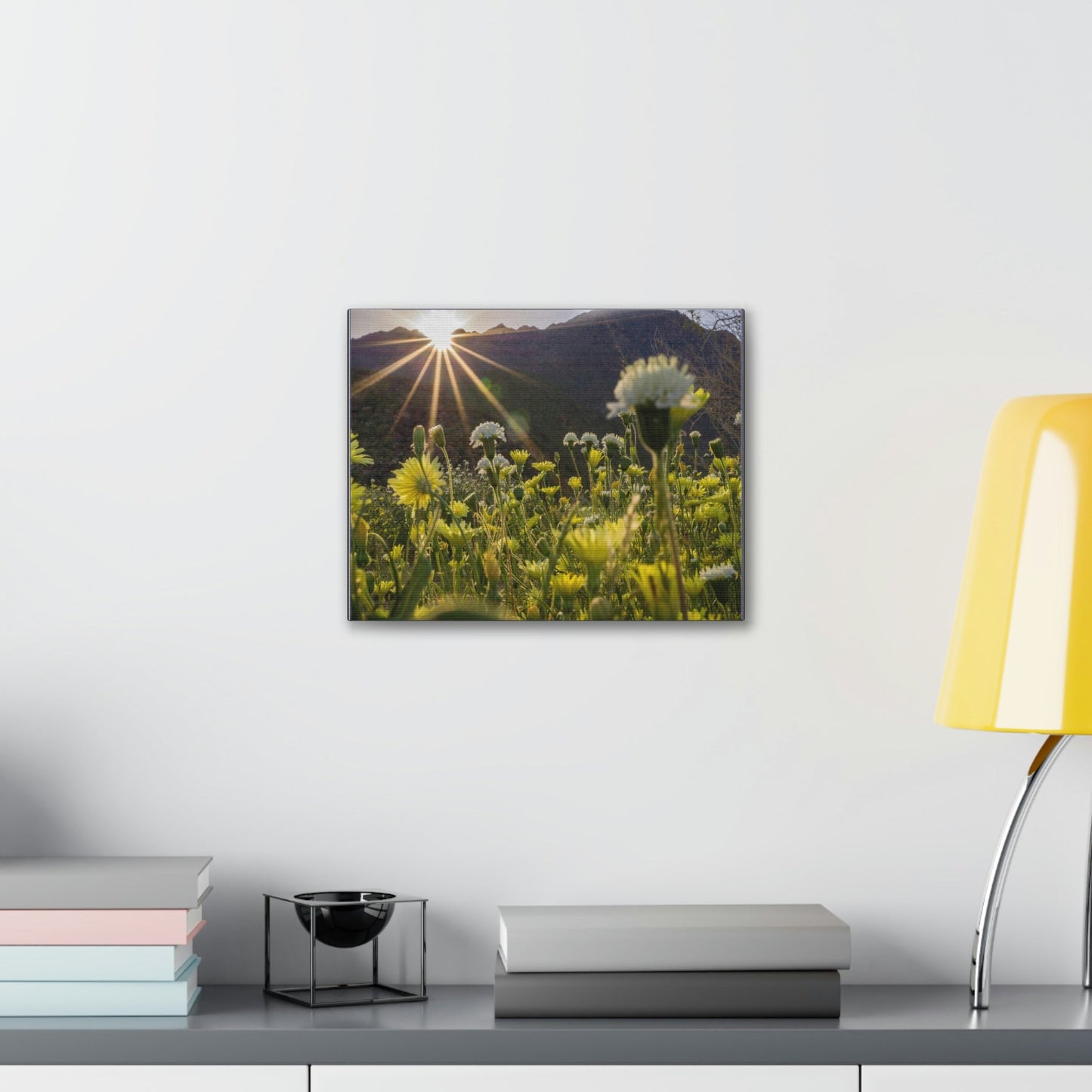 US STATE PARKS - SMALL Canvas Gallery Wraps - Sunset landscape in Anza Borrego Desert State Park during a spring super bloom, California - Green Forest Home