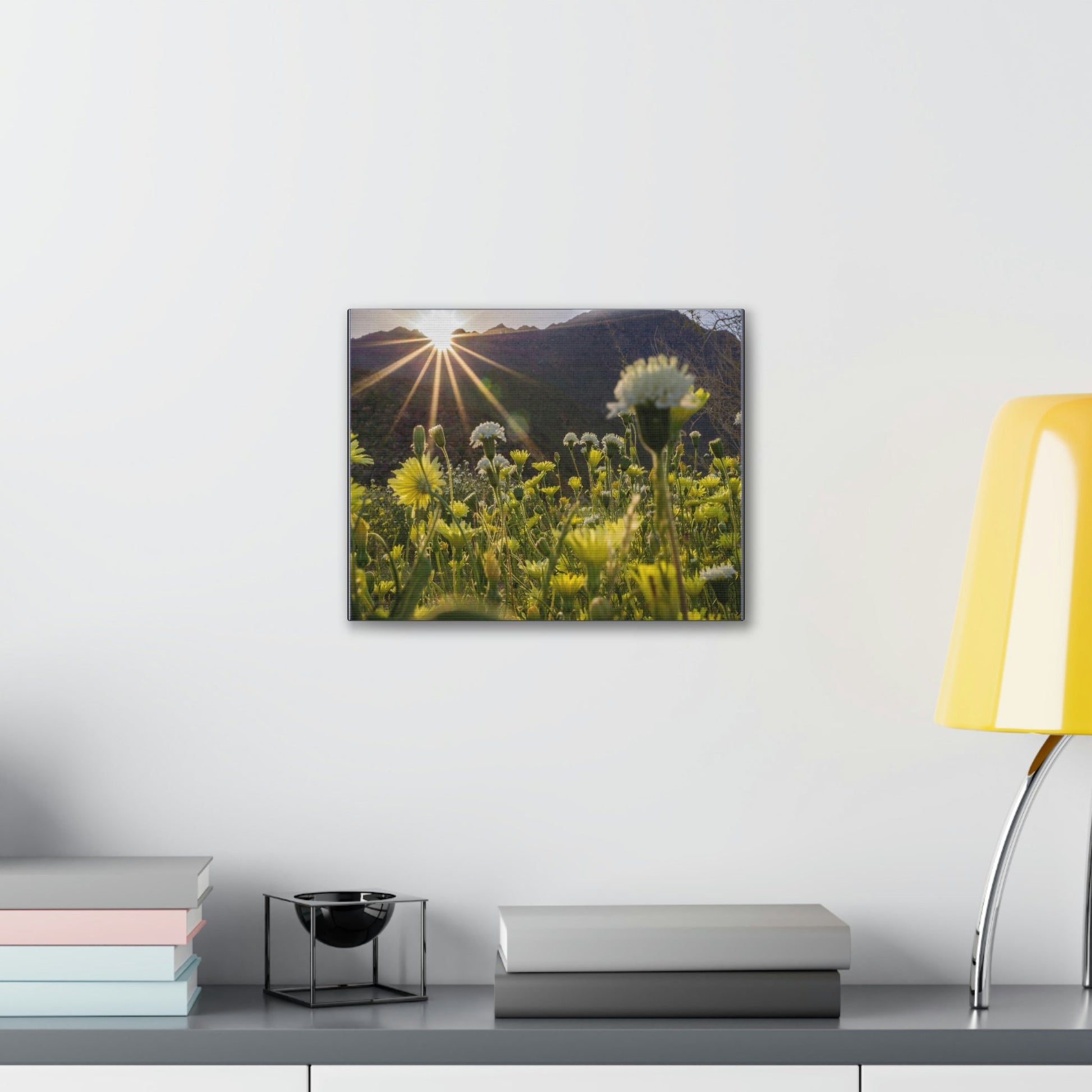 US STATE PARKS - SMALL Canvas Gallery Wraps - Sunset landscape in Anza Borrego Desert State Park during a spring super bloom, California - Green Forest Home