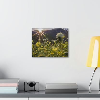 US STATE PARKS - SMALL Canvas Gallery Wraps - Sunset landscape in Anza Borrego Desert State Park during a spring super bloom, California - Green Forest Home