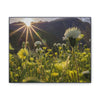 US STATE PARKS - SMALL Canvas Gallery Wraps - Sunset landscape in Anza Borrego Desert State Park during a spring super bloom, California - Green Forest Home