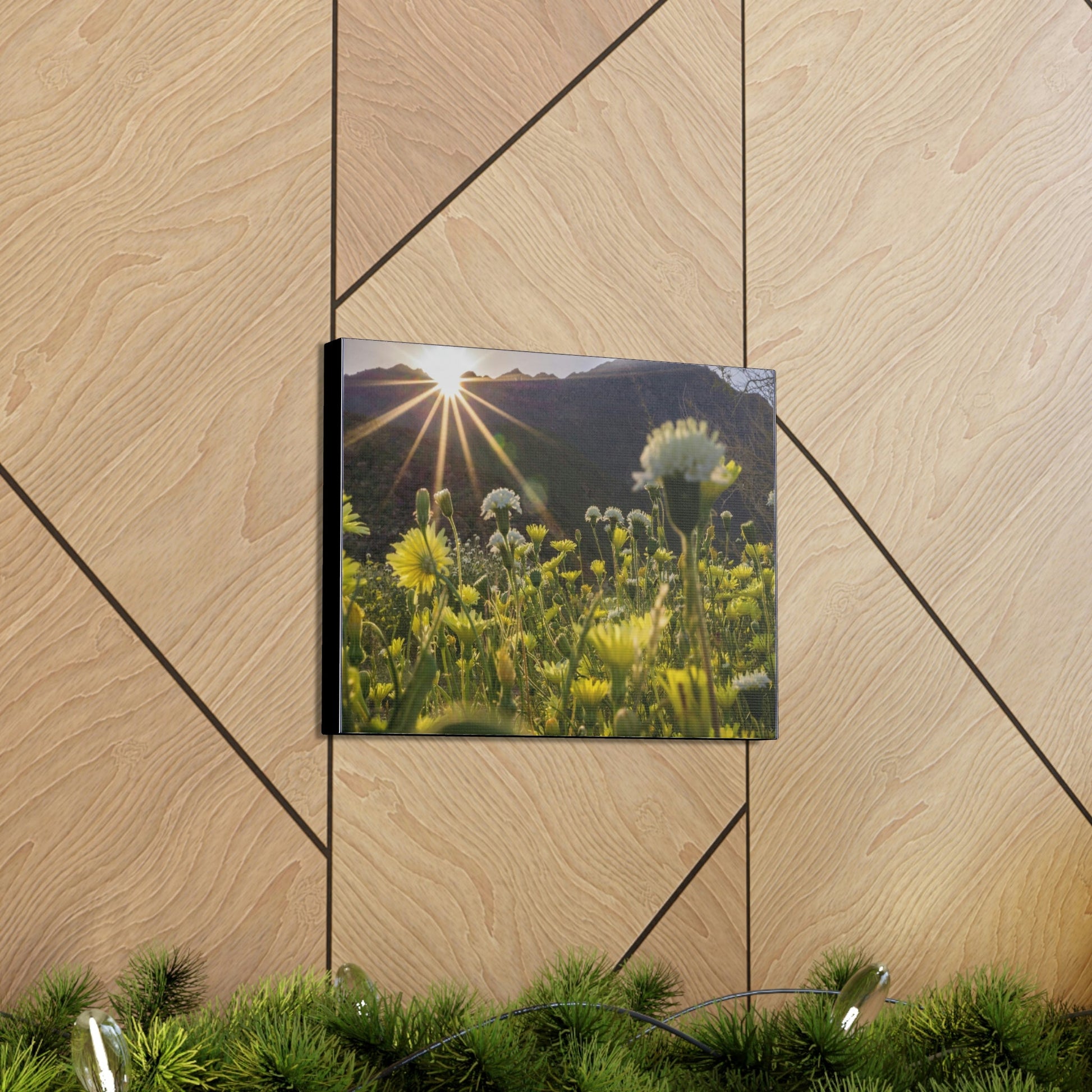 US STATE PARKS - SMALL Canvas Gallery Wraps - Sunset landscape in Anza Borrego Desert State Park during a spring super bloom, California - Green Forest Home