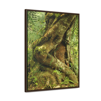 Vertical Framed Premium Gallery Wrap Canvas - Parasite tree grows over a Palo Colorado (Red tree) in the early Tradewinds trail - Green Forest Home