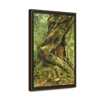Vertical Framed Premium Gallery Wrap Canvas - Parasite tree grows over a Palo Colorado (Red tree) in the early Tradewinds trail - Green Forest Home