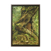 Vertical Framed Premium Gallery Wrap Canvas - Parasite tree grows over a Palo Colorado (Red tree) in the early Tradewinds trail - Green Forest Home