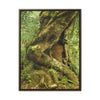 Vertical Framed Premium Gallery Wrap Canvas - Parasite tree grows over a Palo Colorado (Red tree) in the early Tradewinds trail - Green Forest Home