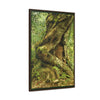 Vertical Framed Premium Gallery Wrap Canvas - Parasite tree grows over a Palo Colorado (Red tree) in the early Tradewinds trail - Green Forest Home
