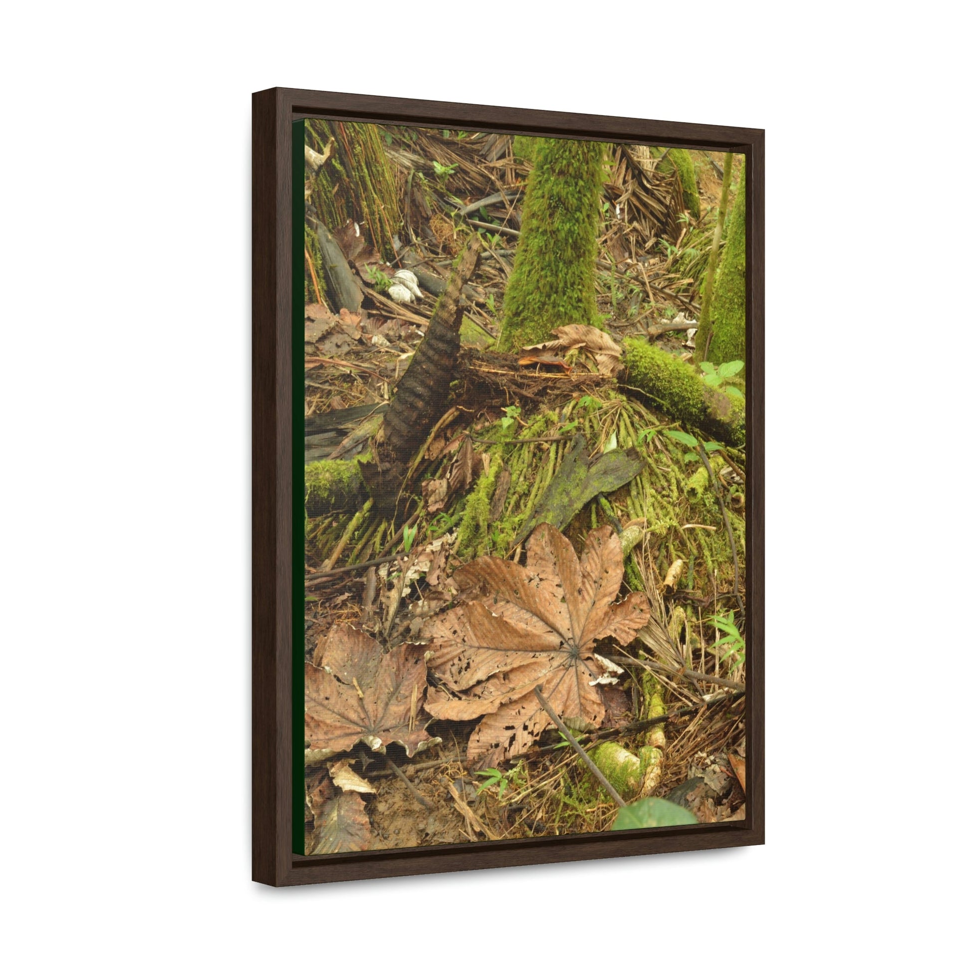 Vertical Framed Premium Gallery Wrap Canvas - The Sierra Palm forest - Death of a Palm tree - in El Yunque rainforest PR - Green Forest Home