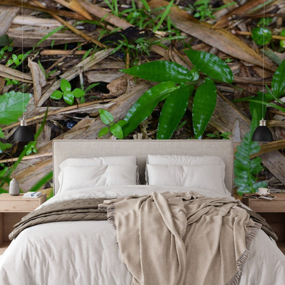 Wallpapaper - Tropical Bamboo Leaves and Foliage - El Yunque Rainforest Puerto Rico - Easy Peel & Stick - Green Forest Home