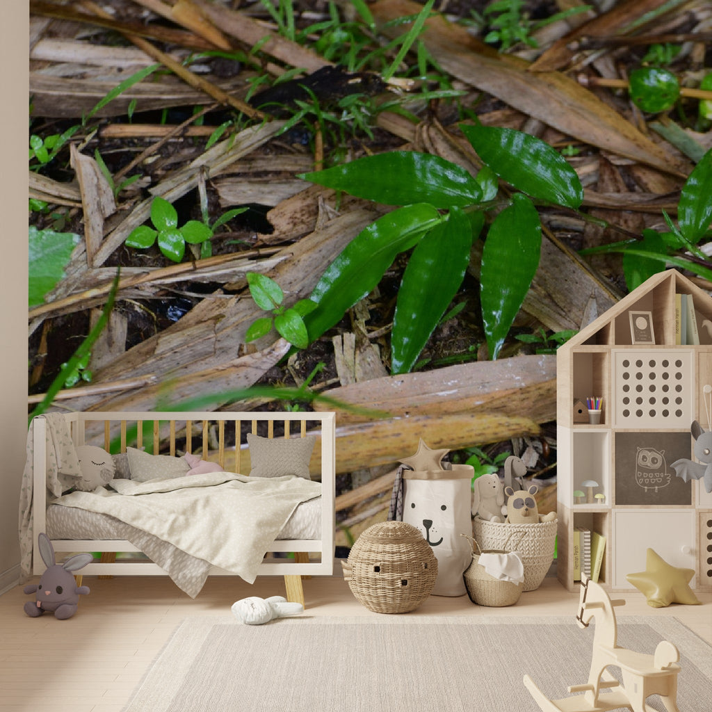 Wallpapaper - Tropical Bamboo Leaves and Foliage - El Yunque Rainforest Puerto Rico - Easy Peel & Stick - Green Forest Home