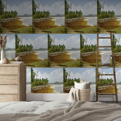 Wallpapaper - Tropical Beach with Sargasso PATTERN in Palmas de Lucía Hotel - Yabucoa PR - Green Forest Home