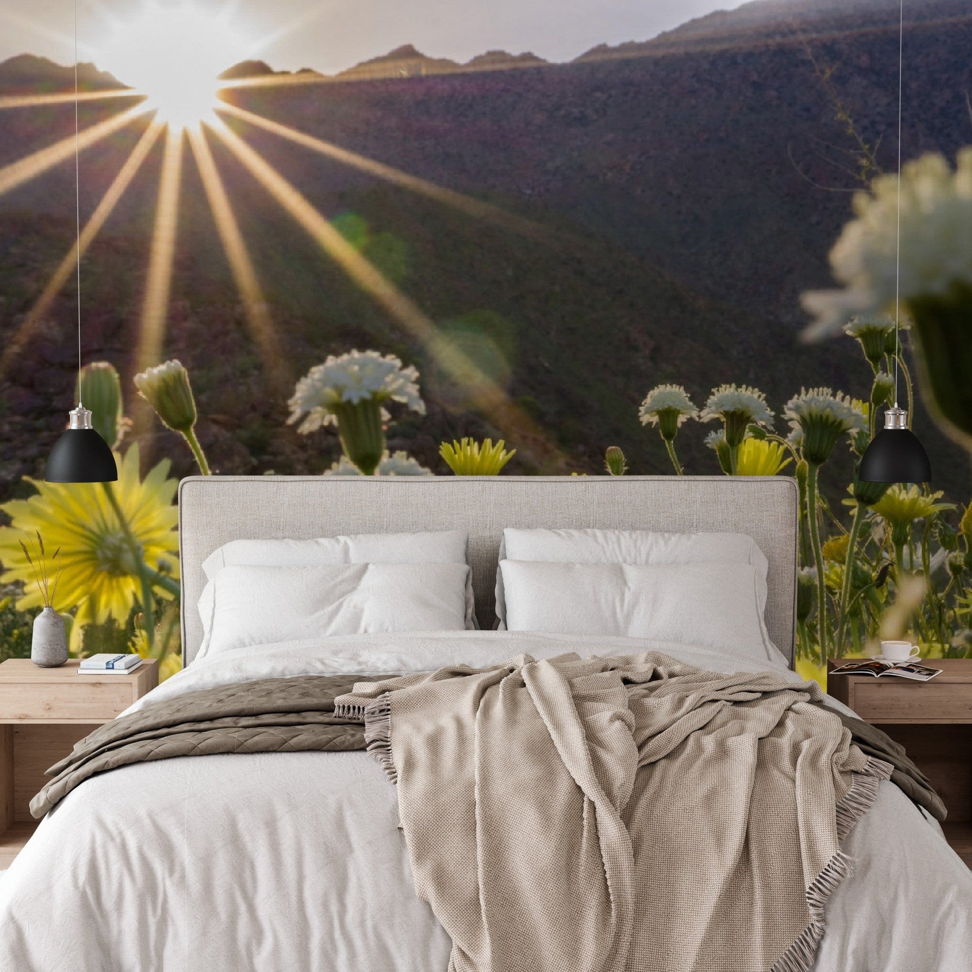 Wallpaper - Anza Borrego Desert State Park during a spring super bloom, California - Easy Peel & Stick - Green Forest Home
