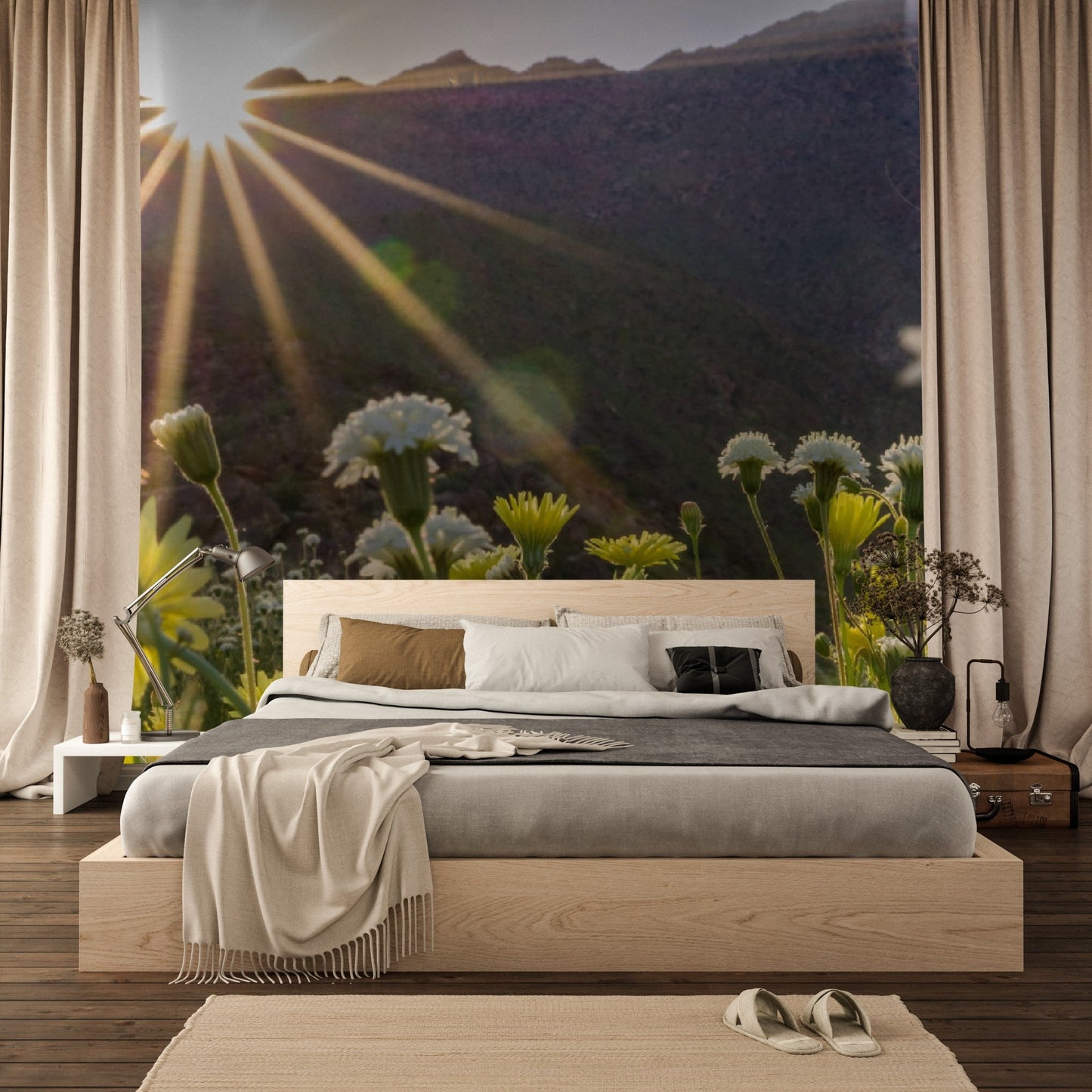 Wallpaper - Anza Borrego Desert State Park during a spring super bloom, California - Easy Peel & Stick - Green Forest Home