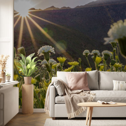 Wallpaper - Anza Borrego Desert State Park during a spring super bloom, California - Easy Peel & Stick - Green Forest Home