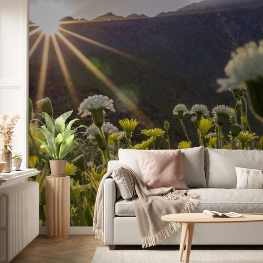 Wallpaper - Anza Borrego Desert State Park during a spring super bloom, California - Easy Peel & Stick - Green Forest Home