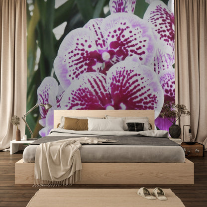 Wallpaper - Awesome tropical Orchids in Isabela Puerto Rico - Green Forest Home
