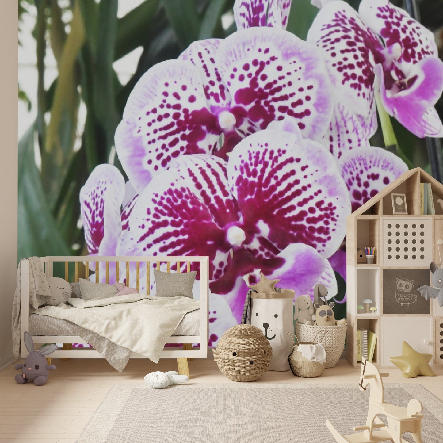 Wallpaper - Awesome tropical Orchids in Isabela Puerto Rico - Green Forest Home