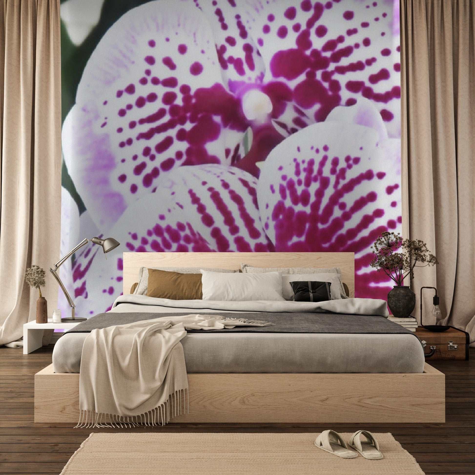 Wallpaper - Awesome tropical Orchids in Isabela Puerto Rico - Green Forest Home