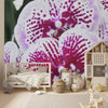 Wallpaper - Awesome tropical Orchids in Isabela Puerto Rico - Green Forest Home