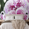 Wallpaper - Awesome tropical Orchids in Isabela Puerto Rico - Green Forest Home