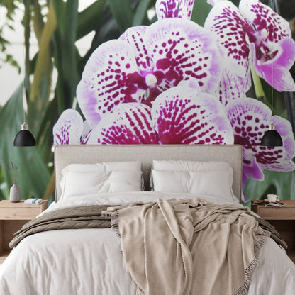 Wallpaper - Awesome tropical Orchids in Isabela Puerto Rico - Green Forest Home