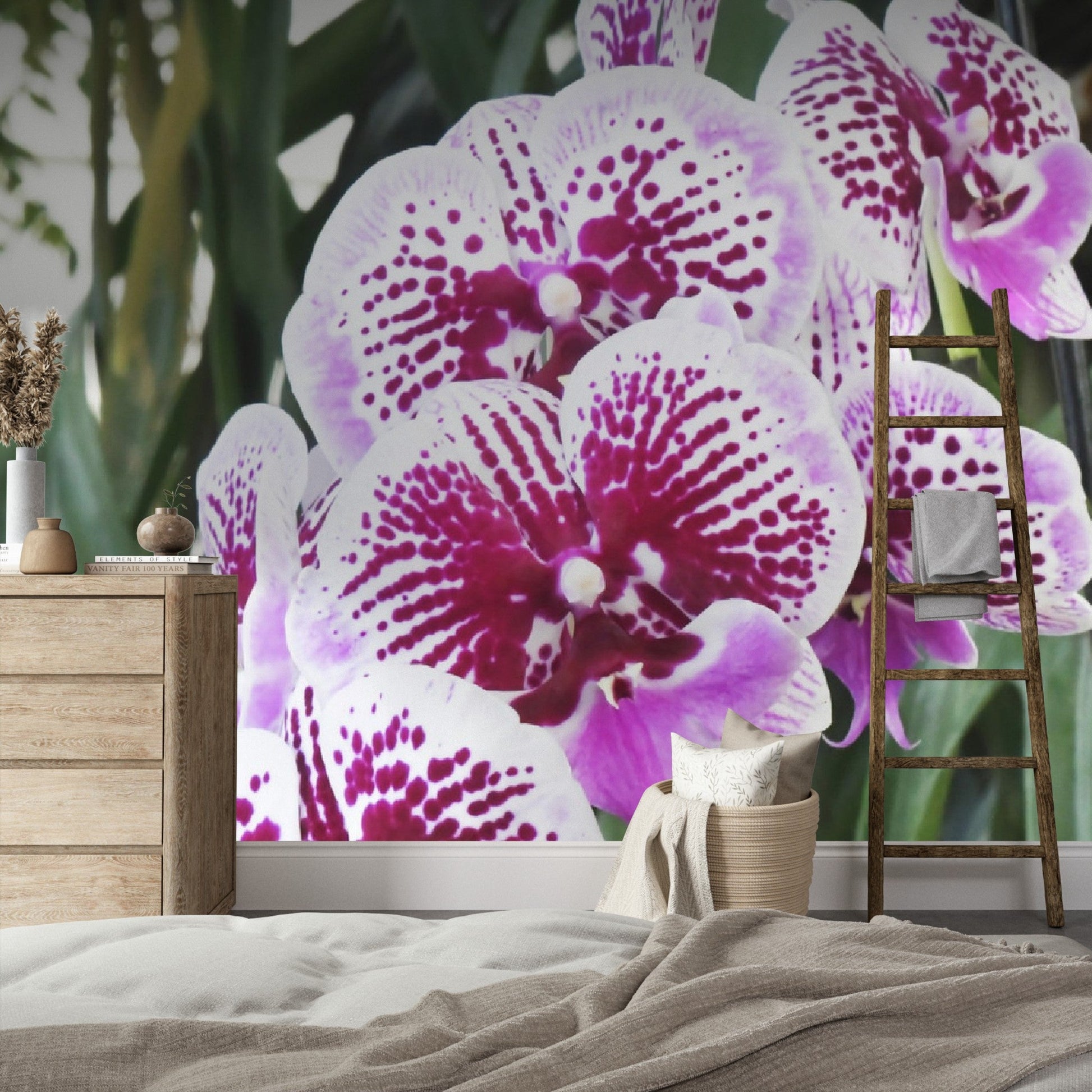 Wallpaper - Awesome tropical Orchids in Isabela Puerto Rico - Green Forest Home