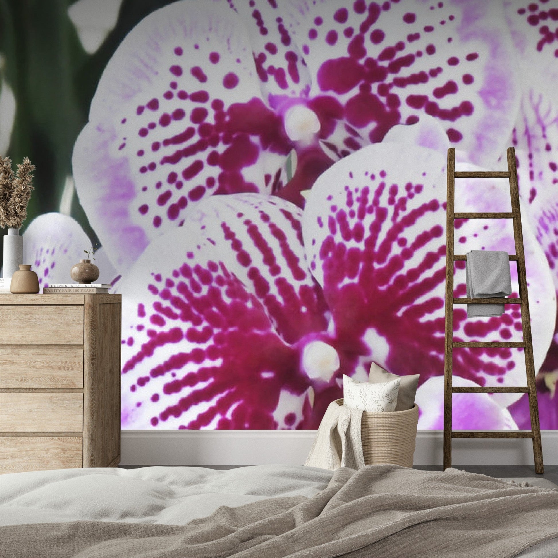 Wallpaper - Awesome tropical Orchids in Isabela Puerto Rico - Green Forest Home