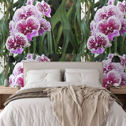 Wallpaper - Awesome tropical Orchids PATTERN in Isabela Puerto Rico - Green Forest Home