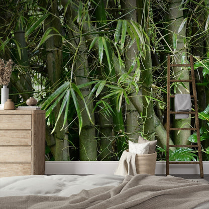 Wallpaper - Bamboos in El Yunque Rainforest PUERTO RICO - EASY Peel and Stick - Green Forest Home