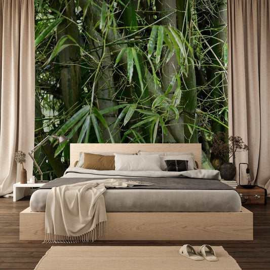 Wallpaper - Bamboos in El Yunque Rainforest PUERTO RICO - EASY Peel and Stick - Green Forest Home