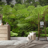 Wallpaper - Deep Forest in El Yunque Rainforest - The Fern Palm Forest - Many Sizes - PUERTO RICO - EASY Peel and Stick - Green Forest Home