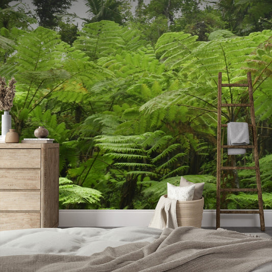Wallpaper - Deep Forest in El Yunque Rainforest - The Fern Palm Forest - Many Sizes - PUERTO RICO - EASY Peel and Stick - Green Forest Home