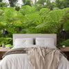 Wallpaper - Deep Forest in El Yunque Rainforest - The Fern Palm Forest - Many Sizes - PUERTO RICO - EASY Peel and Stick - Green Forest Home