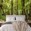 Wallpaper - Deep Forest in El Yunque Rainforest - The Sierra Palm Forest - Multiple Sizes - PUERTO RICO - EASY Peel and Stick - Green Forest Home