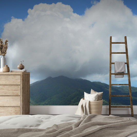 Wallpaper - El Yunque Rainforest - PUERTO RICO - EASY Peel and Stick - Green Forest Home