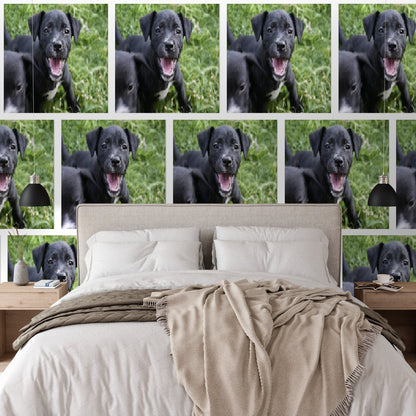 Wallpaper - Friendly Puppy PATTERN in Humacao PR - Multiple Sizes - Green Forest Home