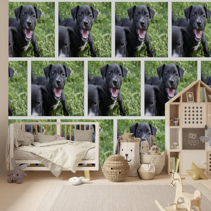 Wallpaper - Friendly Puppy PATTERN in Humacao PR - Multiple Sizes - Green Forest Home