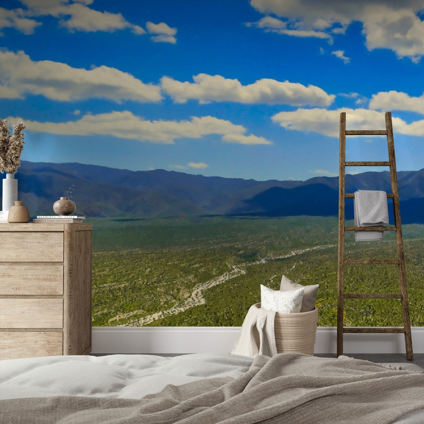 Wallpaper - Kenyon Overlook near Borrego Springs - Anza-Borrego Desert State Park California USA - Easy Peel & Stick - Green Forest Home