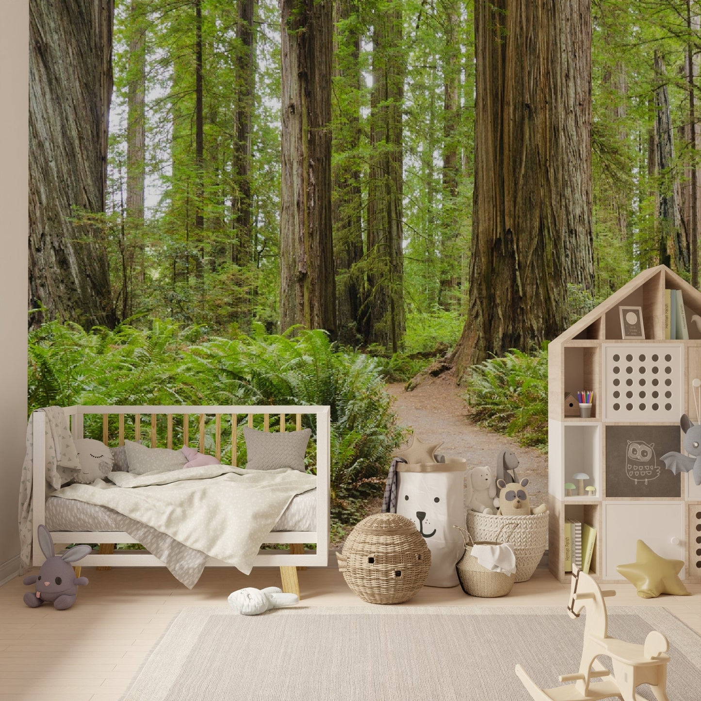 Wallpaper - Redwood National and State Parks near Crescent City, California USA - Easy Peel & Stick - Green Forest Home