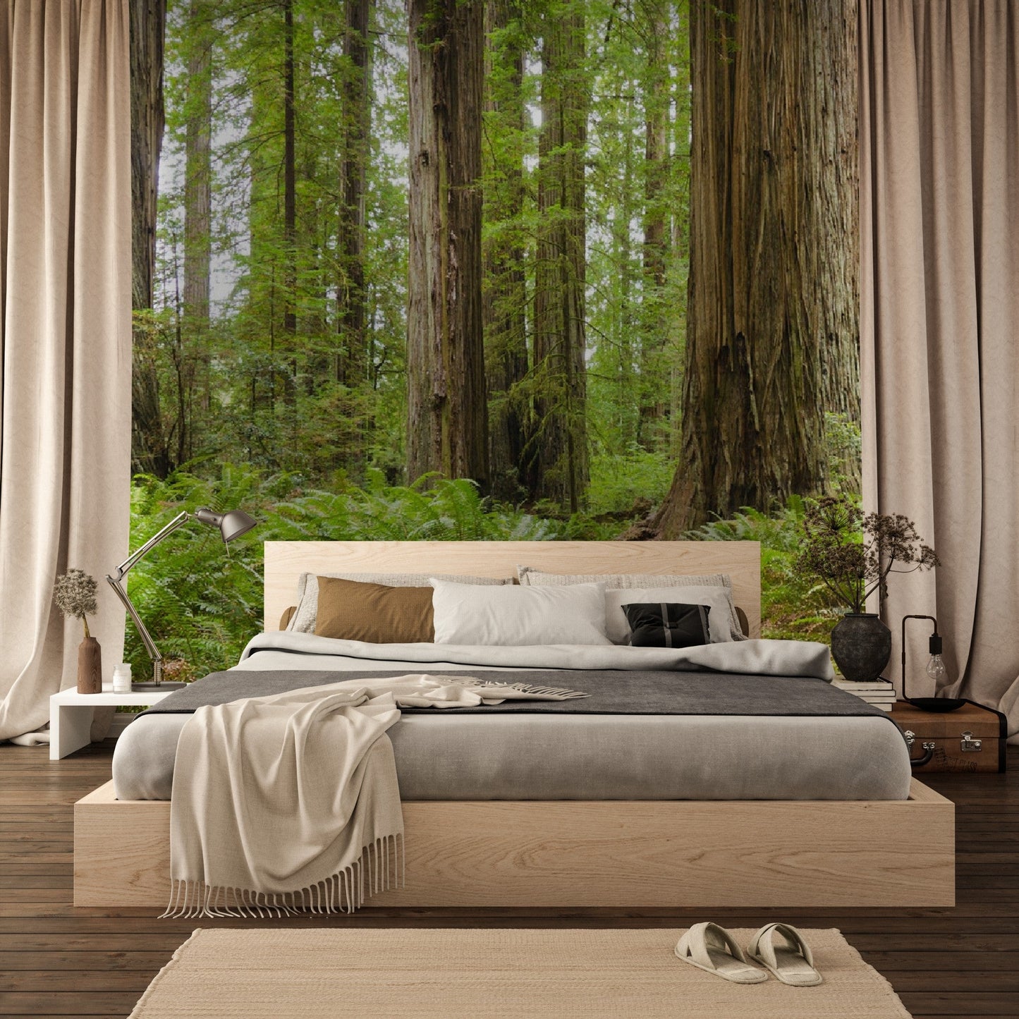Wallpaper - Redwood National and State Parks near Crescent City, California USA - Easy Peel & Stick - Green Forest Home