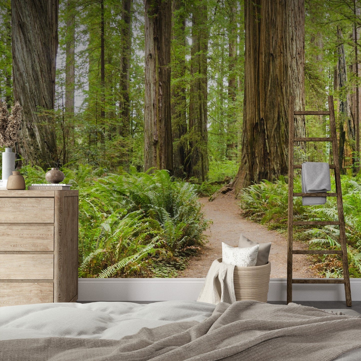 Wallpaper - Redwood National and State Parks near Crescent City, California USA - Easy Peel & Stick - Green Forest Home