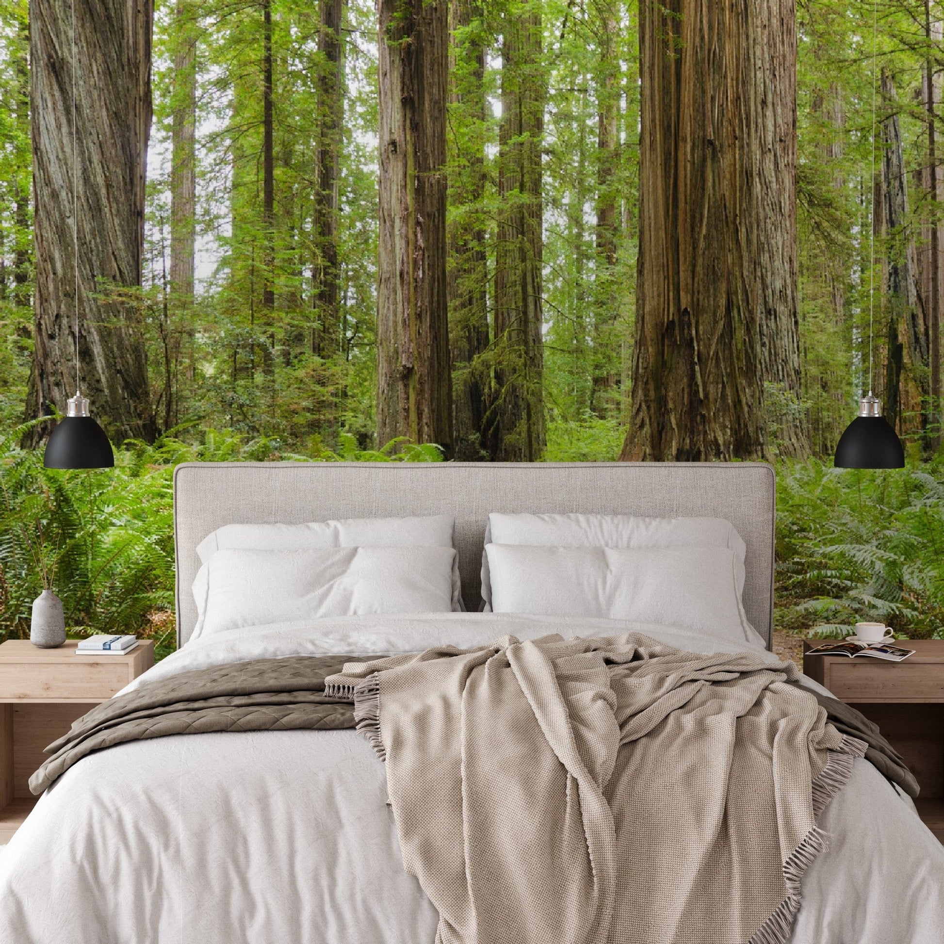 Wallpaper - Redwood National and State Parks near Crescent City, California USA - Easy Peel & Stick - Green Forest Home