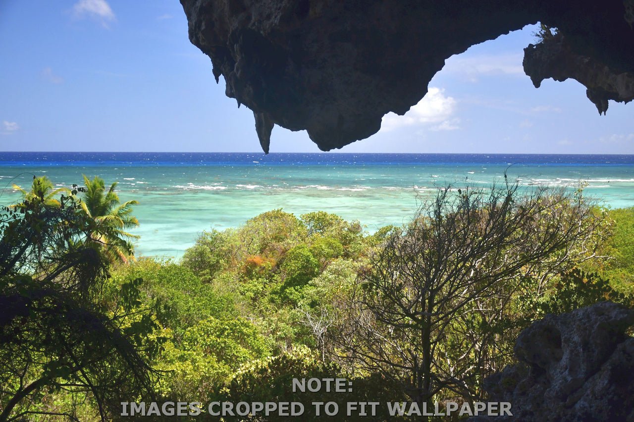 Wallpaper - Remote Mona Island Caves - Puerto Rico - Easy Peel & Stick - Multiple Sizes - Green Forest Home