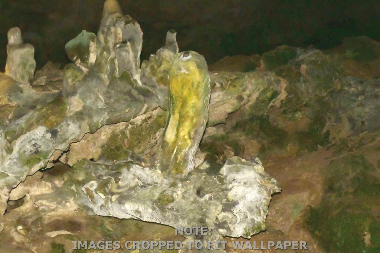 Wallpaper - Remote Mona Island Caves - Puerto Rico - Easy Peel & Stick - Multiple Sizes - Green Forest Home