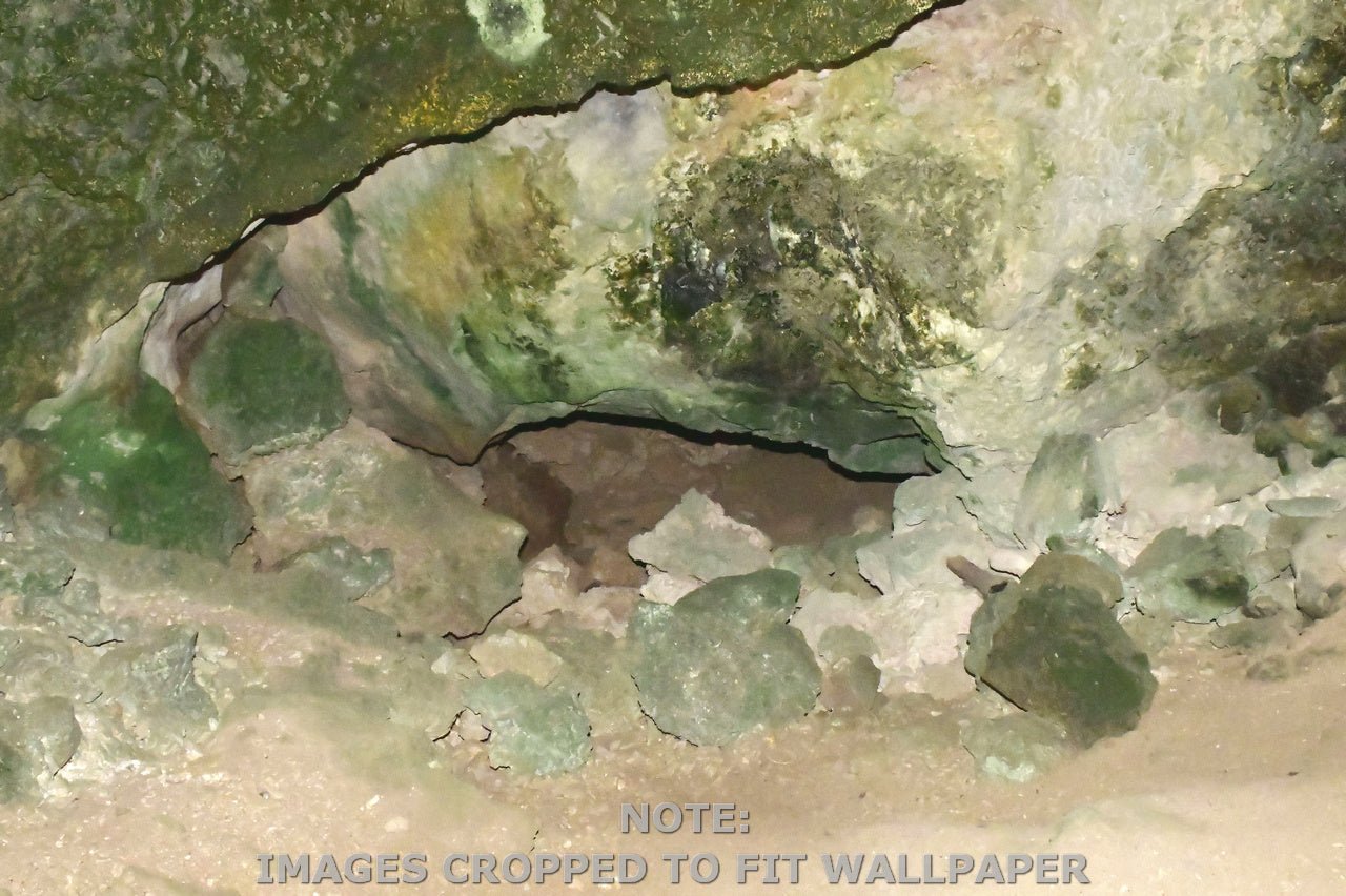 Wallpaper - Remote Mona Island Caves - Puerto Rico - Easy Peel & Stick - Multiple Sizes - Green Forest Home