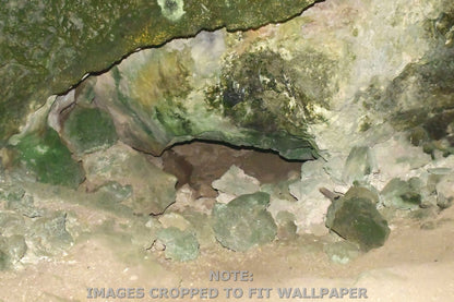 Wallpaper - Remote Mona Island Caves - Puerto Rico - Easy Peel & Stick - Multiple Sizes - Green Forest Home